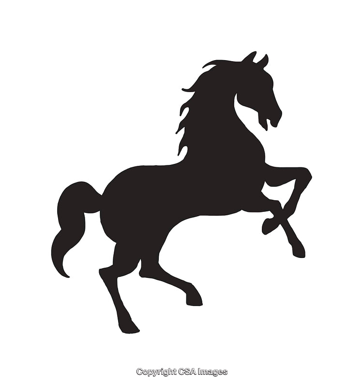 Silhouette of a Majestic Rearing Horse in Black and White Art