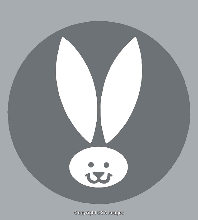 Minimalistic Illustration of a Rabbit Face with Ears in White and Gray