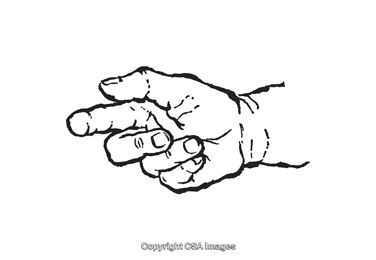 Detailed Line Art Illustration of a Hand in Gesture