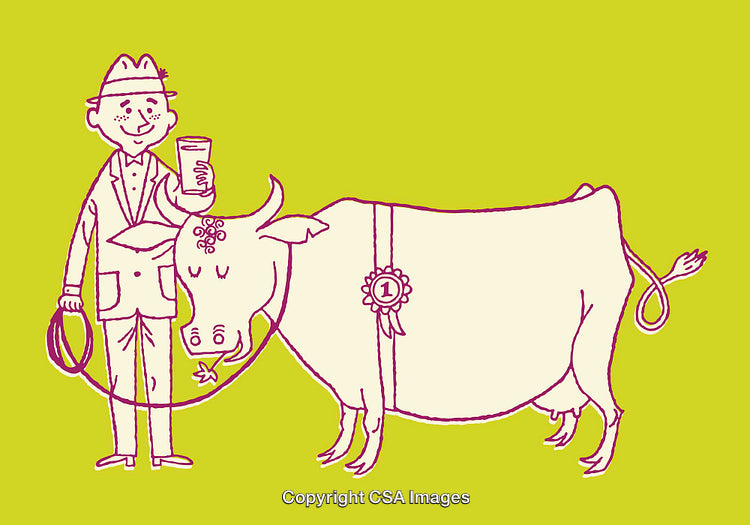 Happy Farmer Showcasing Prize-Winning Cow in Colorful Line Illustration