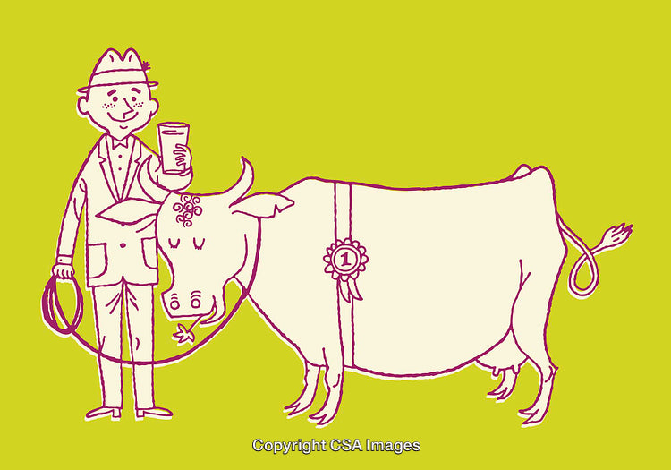 Happy Farmer Showcasing Prize-Winning Cow in Colorful Line Illustration