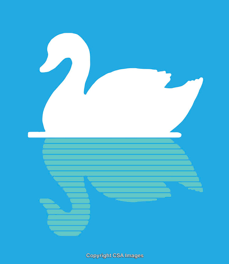 Silhouette Swan with a Textured Water Reflection on Blue Background