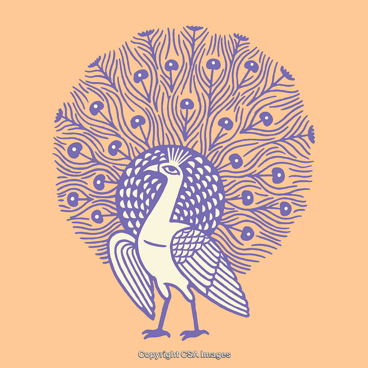 Stylized Peacock Illustration with Ornate Tail Feather Details in Soft Colors