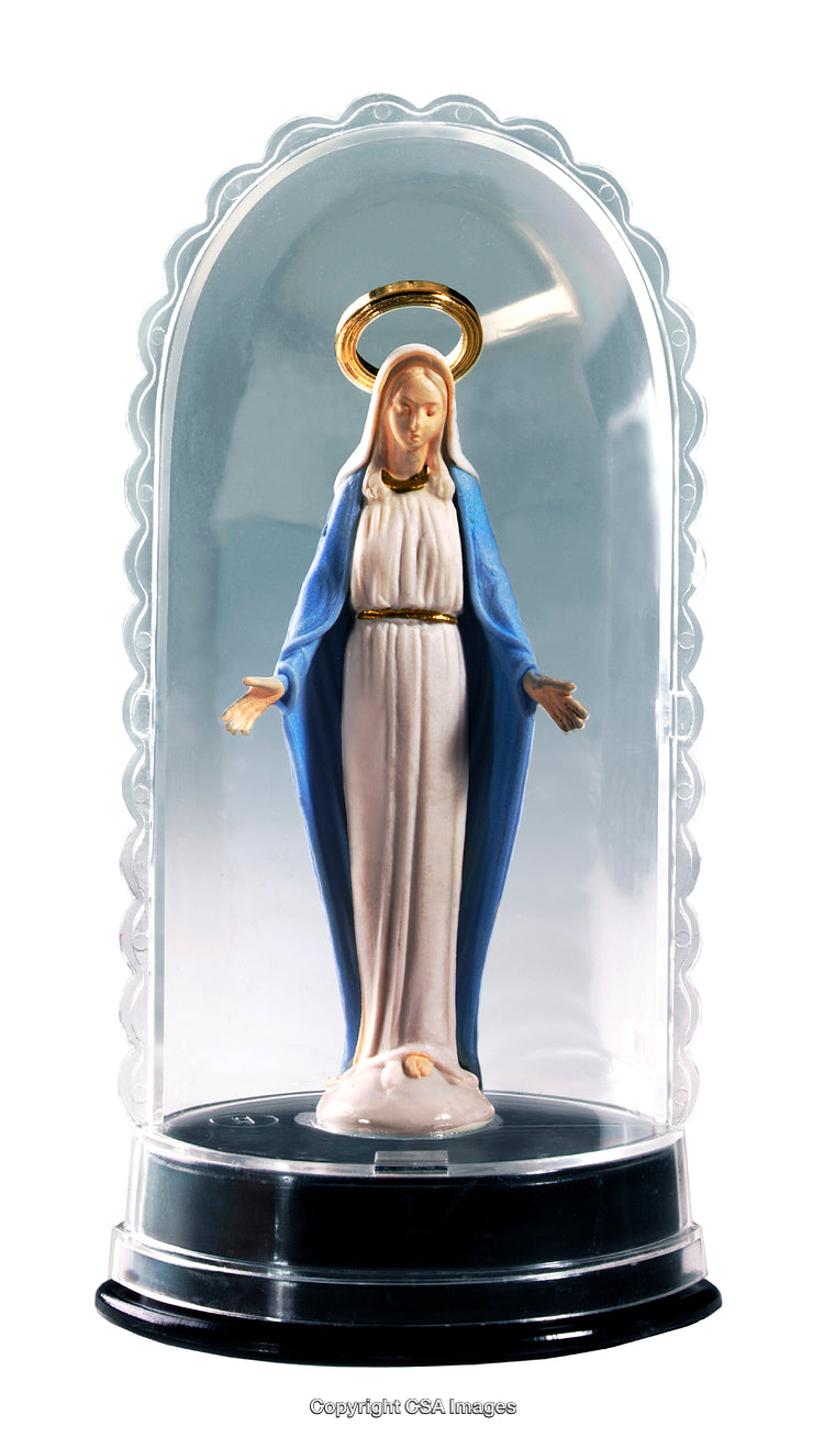 Plastic Virgin Mary Figurine Completed with Halo Enclosed in a Protective Case