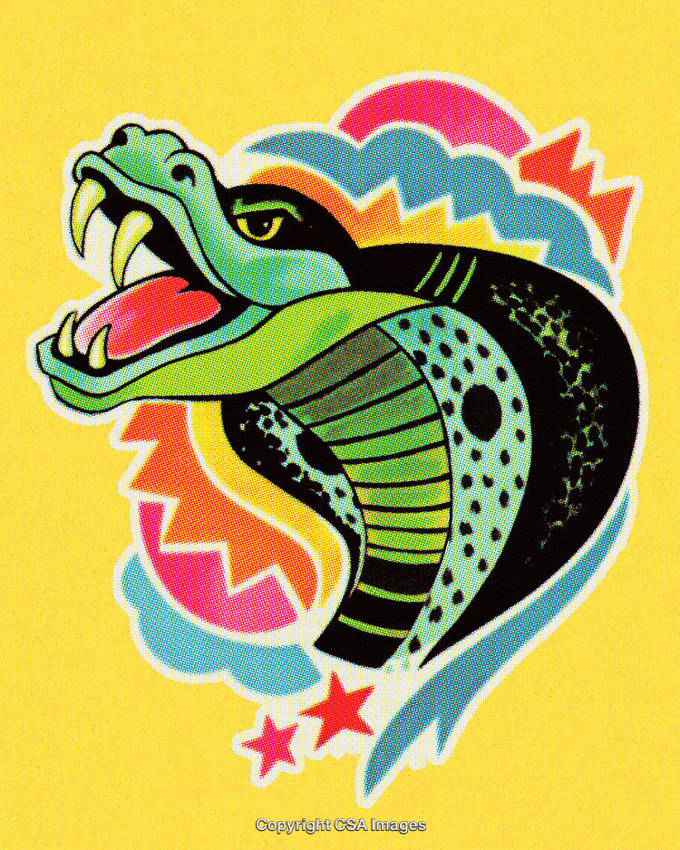 Colorful Illustration of a Snake Head with Vibrant Pop Art Style