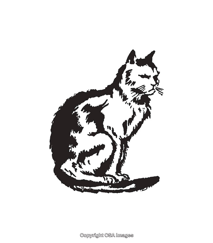 Black And White Line Art Illustration of a Sitting Cat