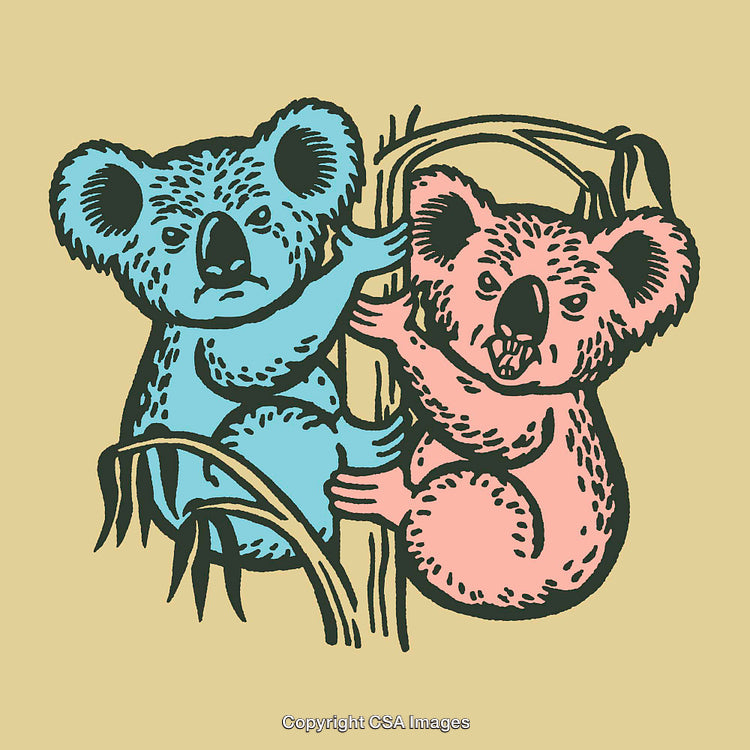 Whimsical Color Illustration of Two Koalas Climbing a Tree