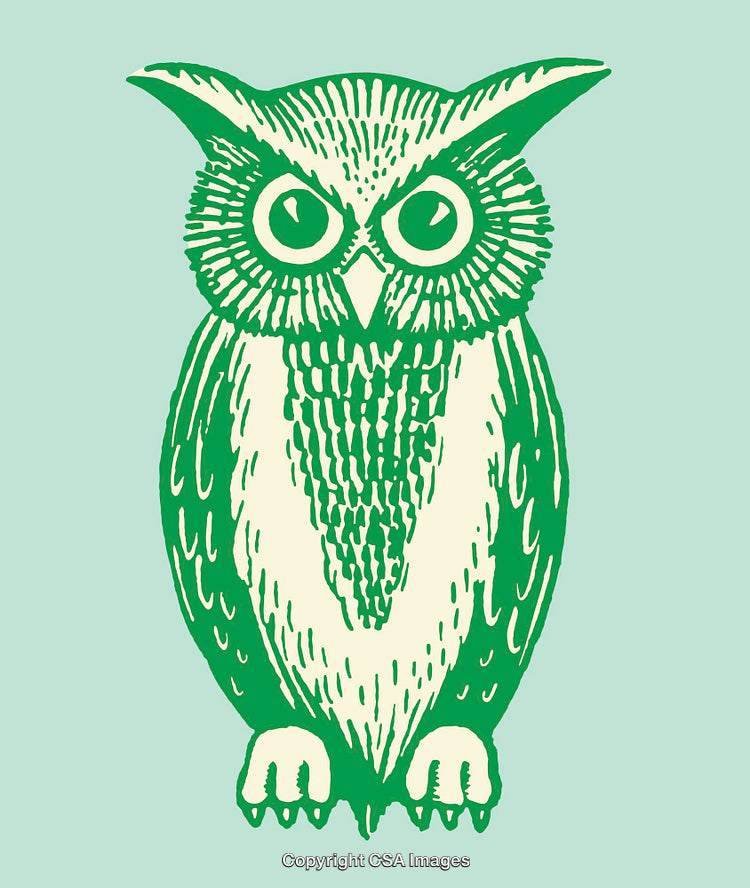 Green Owl Illustration in a Colorful Line Art Style