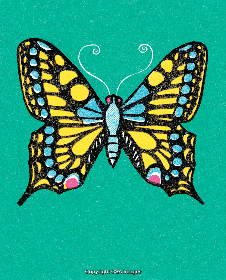 Colorful Illustrated Butterfly on Vibrant Teal Background with Decorative Details