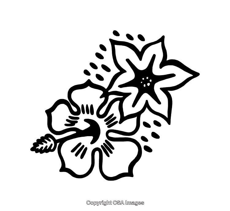 Black and White Line Art Illustration of Two Flowers