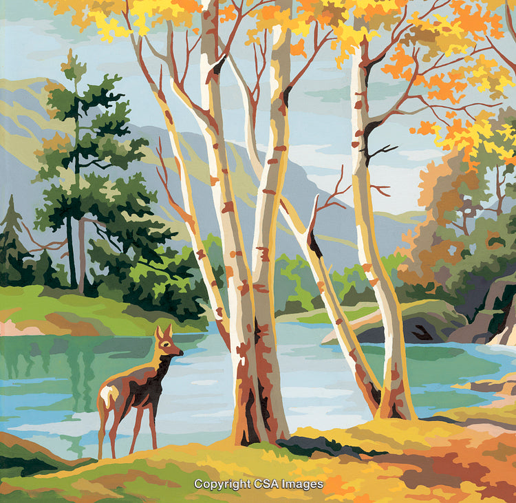 Serene Forest Scene with Deer and Birch Trees by A Lakeside