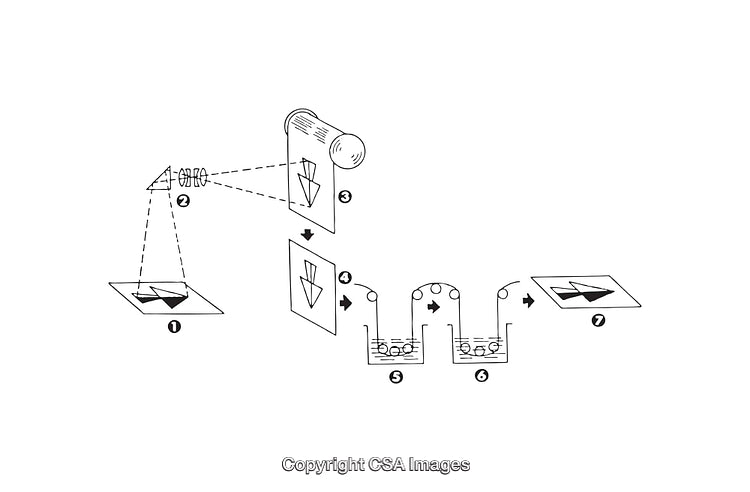 Step-by-Step Diagram of a Photographic Process in Black and White