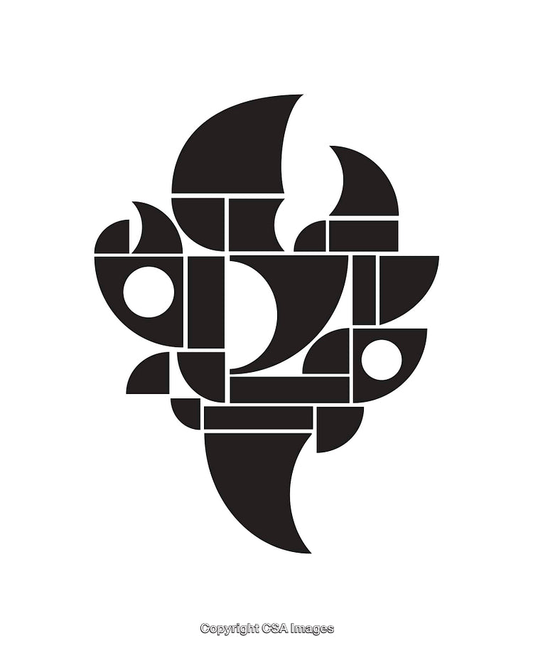 Modern Abstract Black And White Geometric Landscape Design