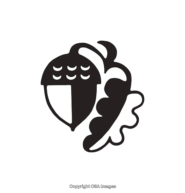 Black and White Acorn and Oak Leaf Icon Design