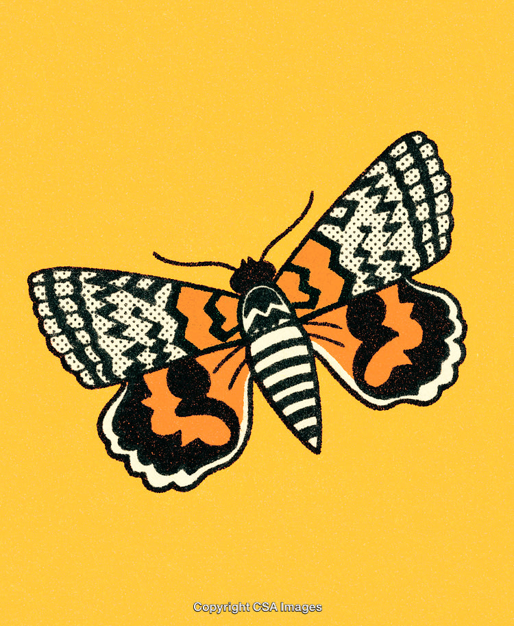 Graphic Illustration of a Colorful Butterfly on a Bright Yellow Background