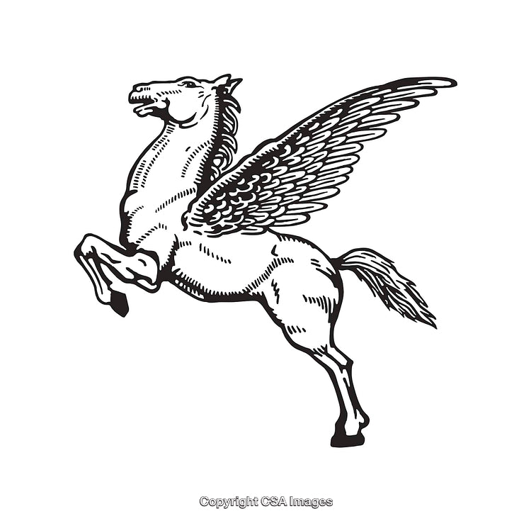 Black and White Line Art Illustration of a Winged Pegasus Rearing Majestically