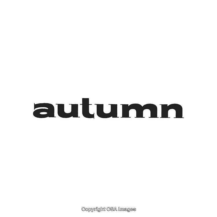 Black Text 'Autumn' with Minimalist Design on White Background
