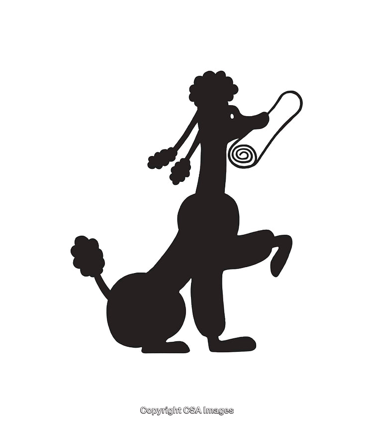 Elegant Line Art Illustration of a Playful Poodle With Rolled Mat