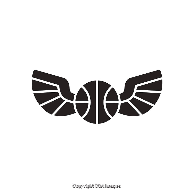 Black and White Winged Basketball Abstract Emblem Line Art Design