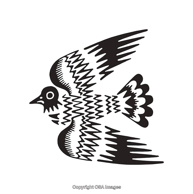 Black and White Abstract Illustration of a Flying Bird in Line Art