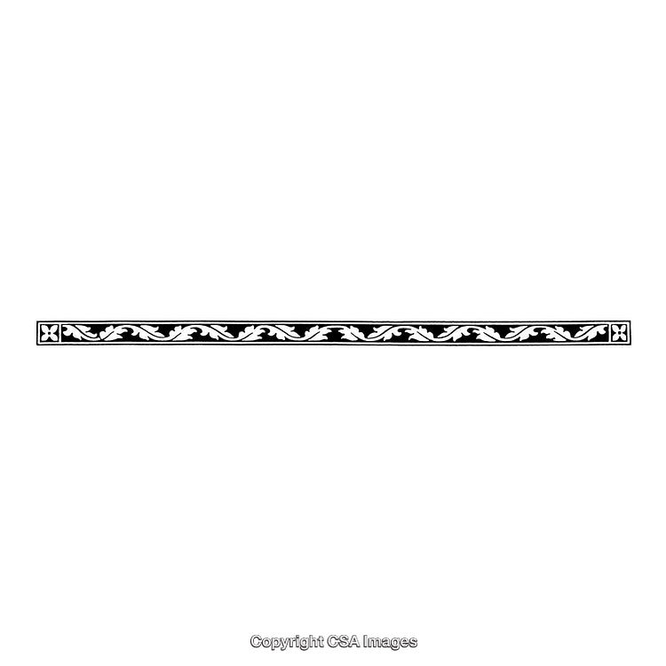 Elegant Black and White Border with Decorative Flourishes