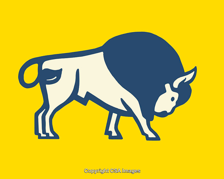 Bold Illustration of a Bison Against a Yellow Background