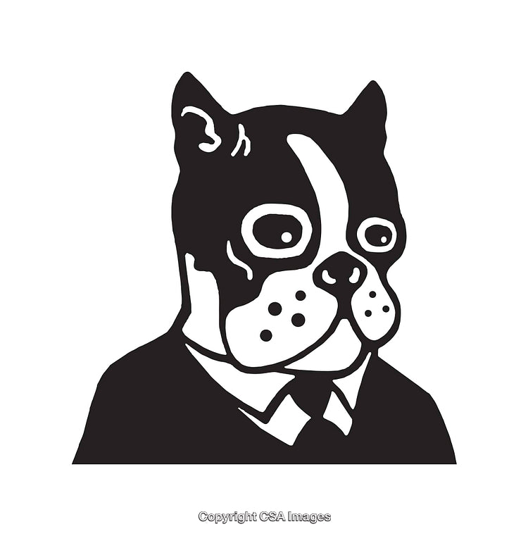 Black and White Line Art of Boston Terrier in Business Attire