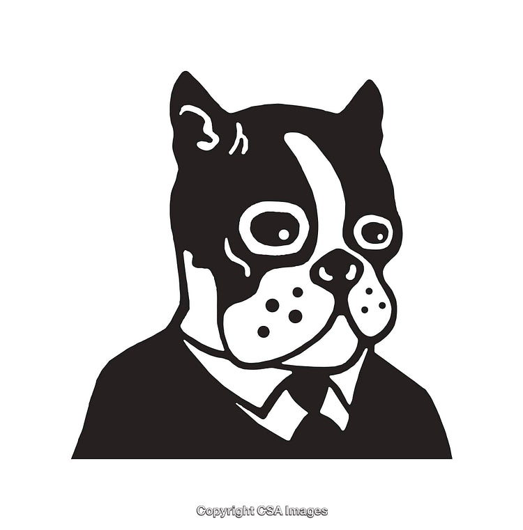 Black and White Line Art of Boston Terrier in Business Attire