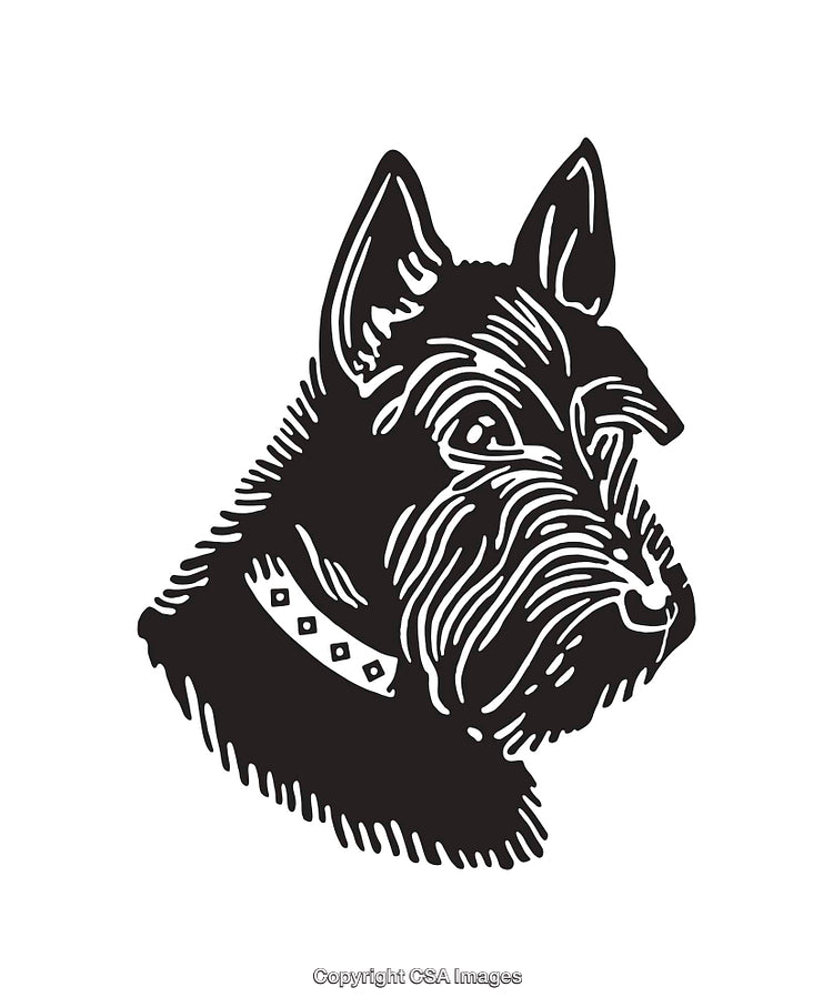 Black and White Line Art Illustration of a Terrier Dog's Face