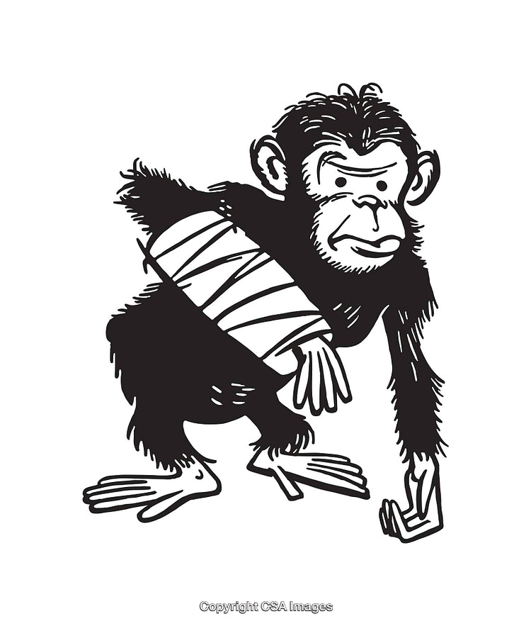 Illustration of a Monkey with Bandaged Arm in Black and White Line Art