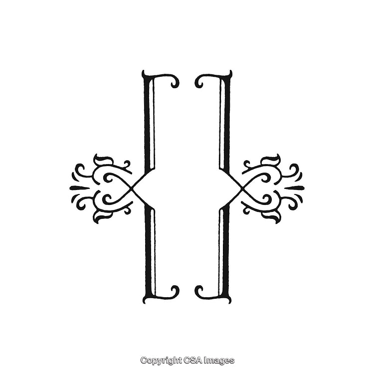 Decorative Symmetrical Black and White Ornamental Design Element Illustration