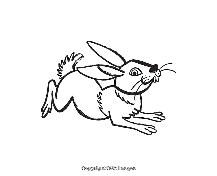 Playful Black and White Rabbit Line Art Illustration Sketch