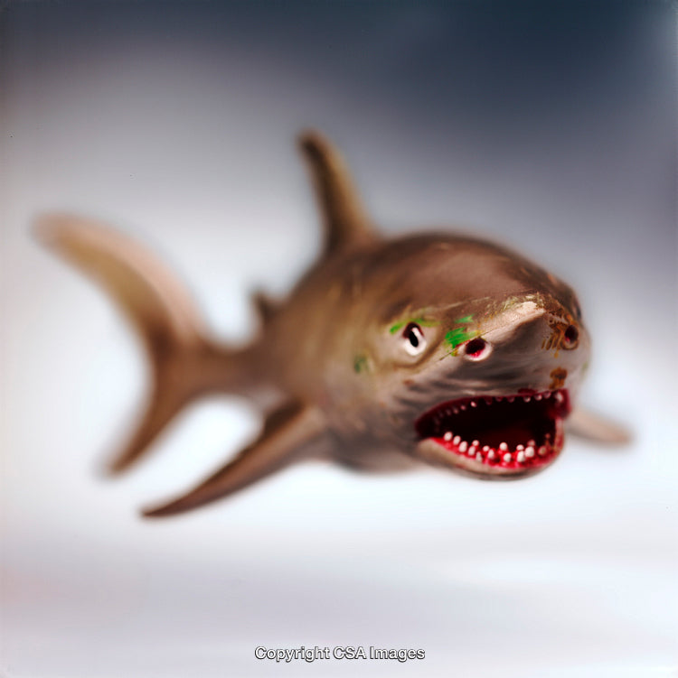 Detailed Close-Up of a Toy Shark Displaying Sharp Teeth and Textured Features