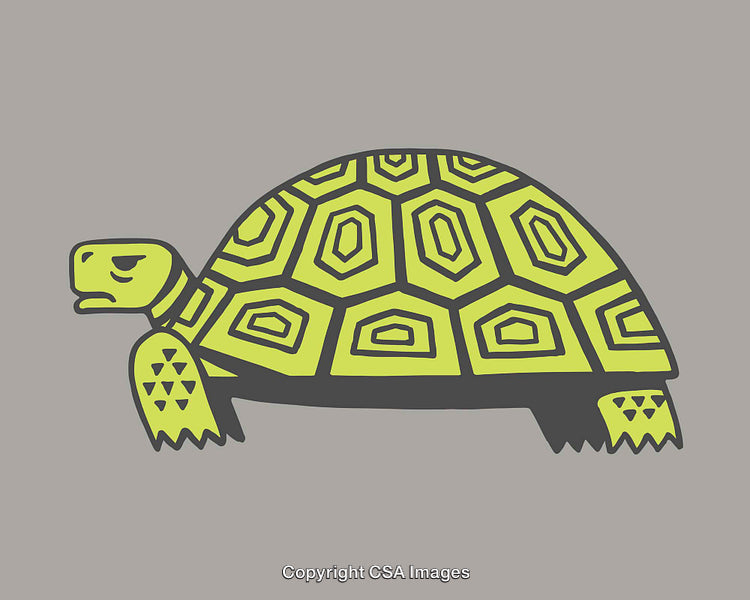 Colorful Line Art of Turtle with Geometric Shell Pattern