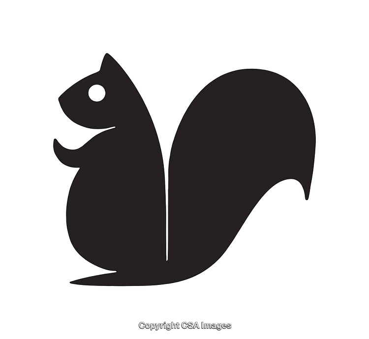 Silhouette Illustration of a Squirrel in Black and White Style