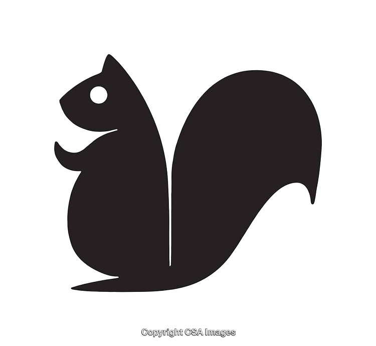 Silhouette Illustration of a Squirrel in Black and White Style