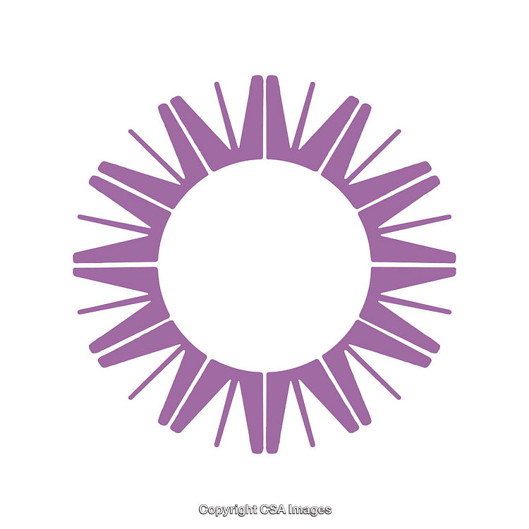 Abstract Purple Circular Emblem with Radial Design on White Background