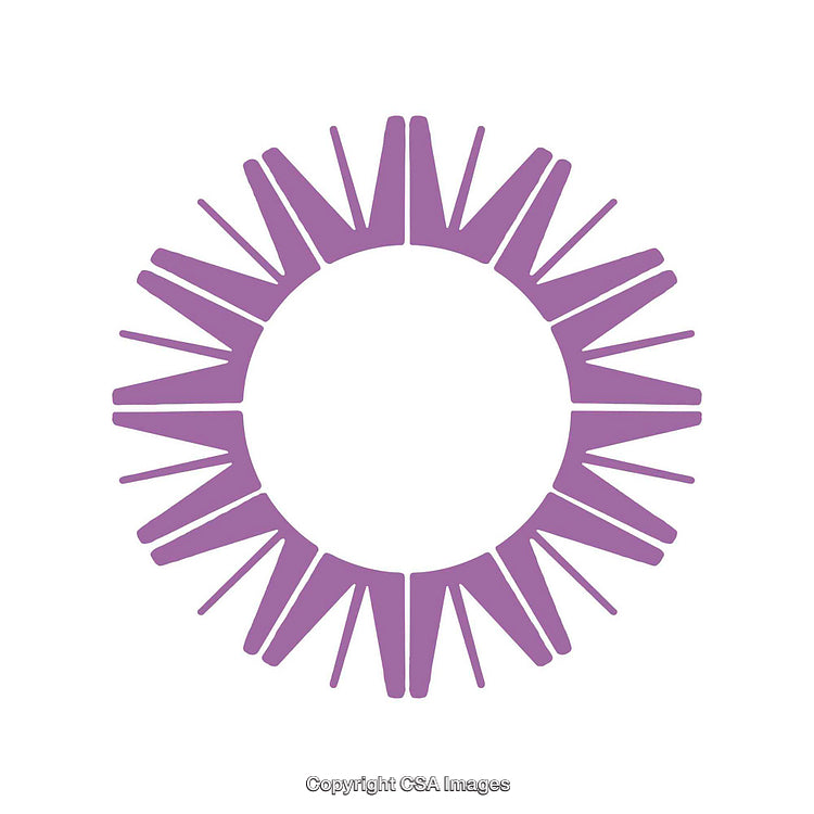 Abstract Purple Circular Emblem with Radial Design on White Background