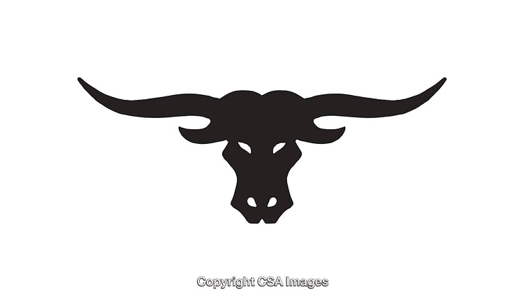 Black and White Longhorn Icon with Symmetrical Design