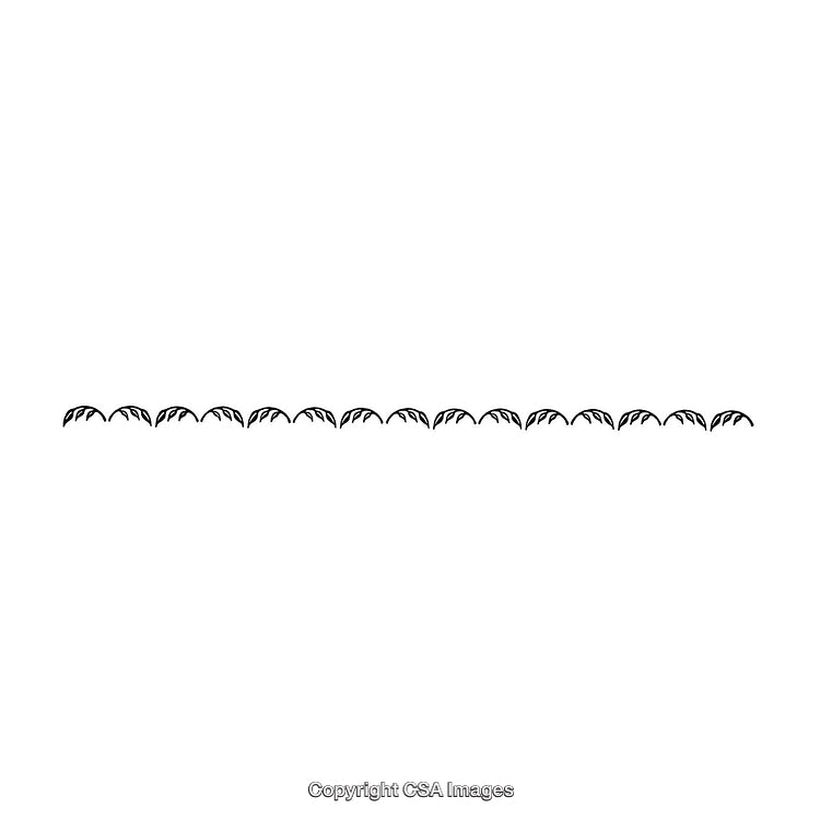 Black and White Decorative Border With Leaf Motif