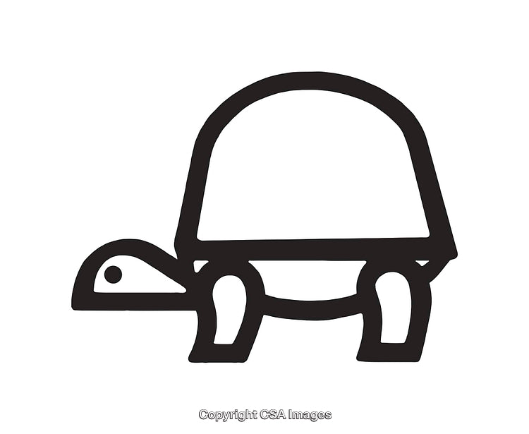 Simple Black and White Turtle Icon with Minimal Design Style