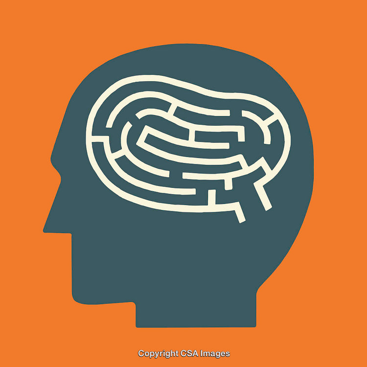 Silhouette Head Illustration Featuring a Maze as a Brain