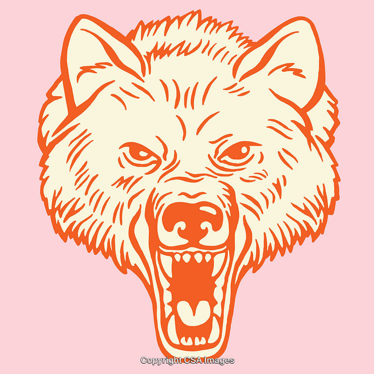 Vibrant Line Art of a Fierce Wolf Head in Bold Colors