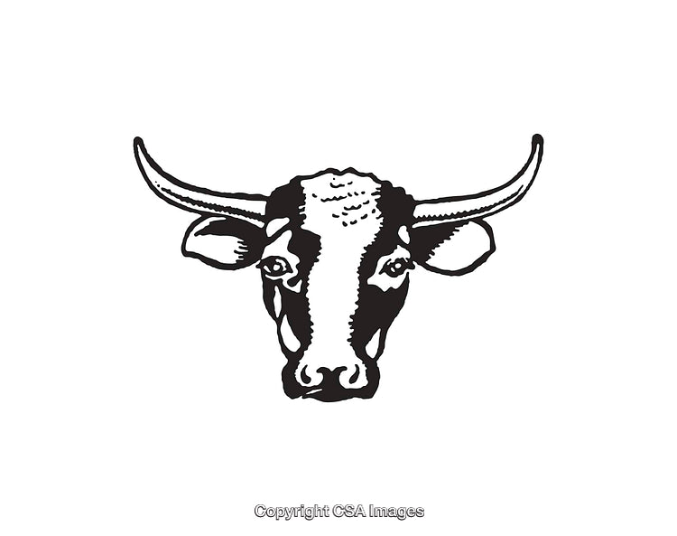 Black and White Illustration of a Bull Head with Detailed Features