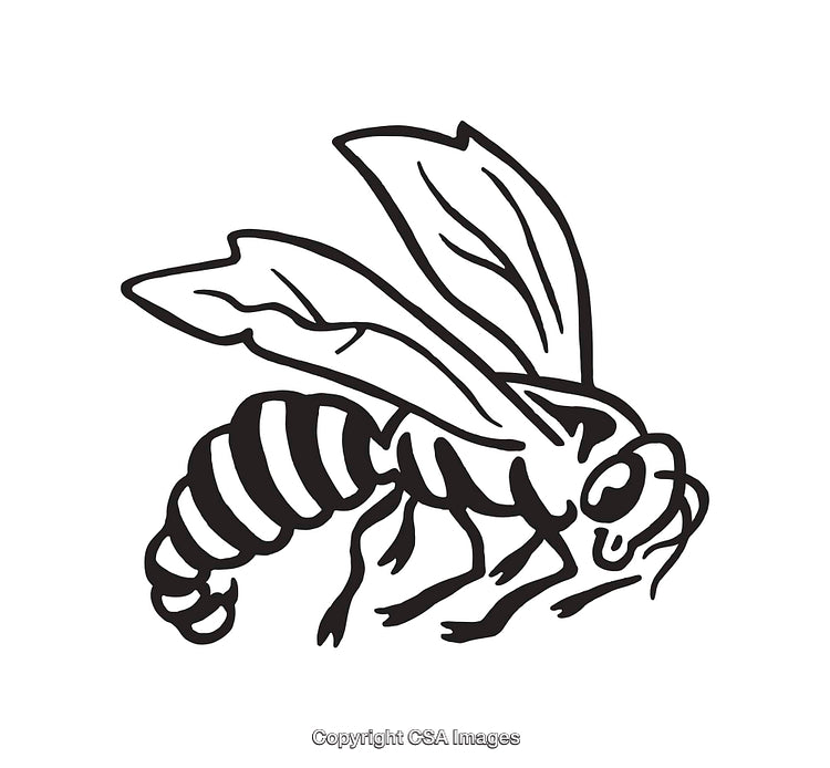Black and White Line Art Illustration of a Honeybee