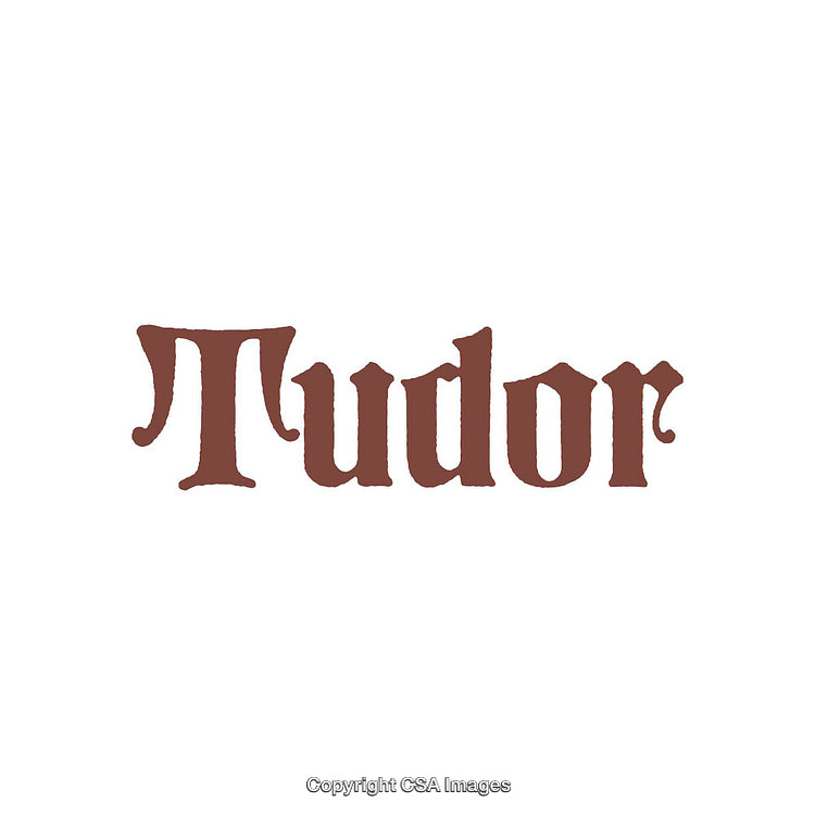 Vintage-Style Tudor Logo in Elegant Serif Fonts on White Background