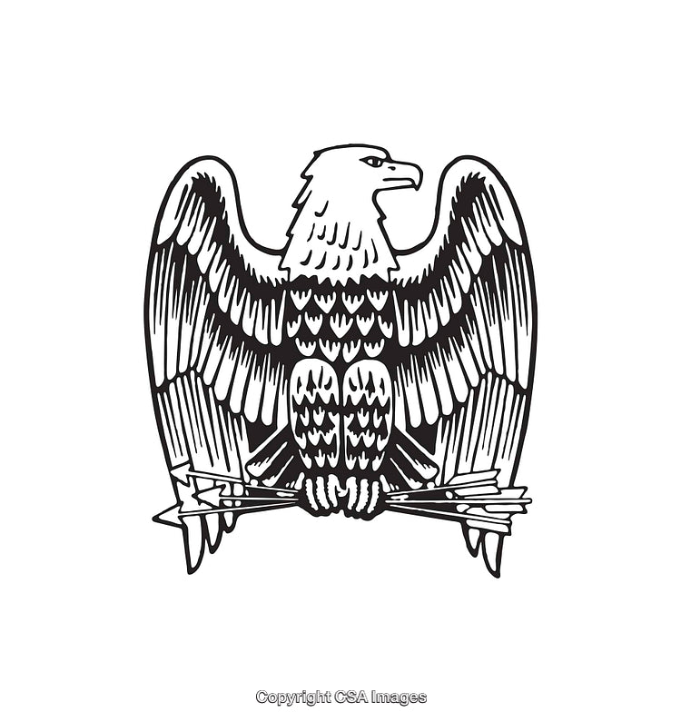 Detailed Line Art of a Bald Eagle with Arrows in Outline Style