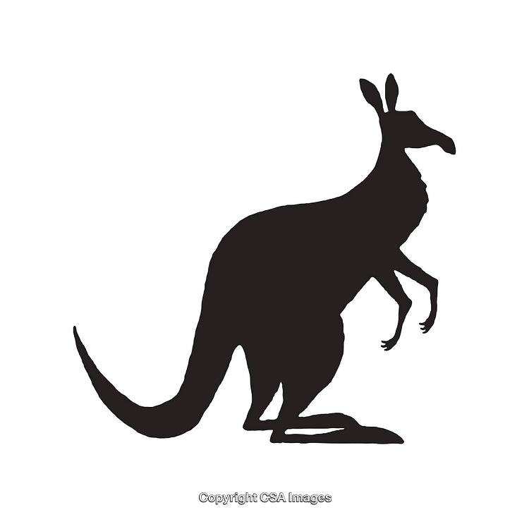 Silhouette of a Kangaroo in Black on a White Background