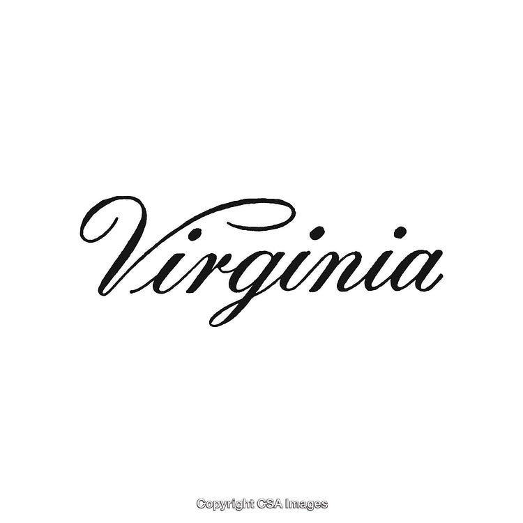 Elegant Cursive Typography Featuring the Word Virginia on a Clean White Background