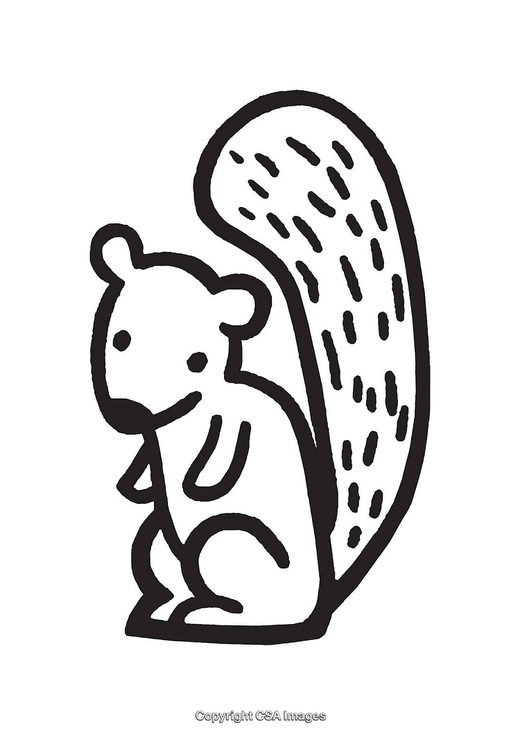 Black and White Line Art Illustration of a Cute Squirrel